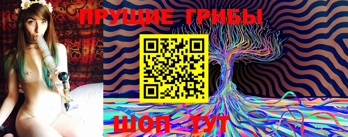 Псилоцибиновые грибы MAGIC MUSHROOMS  где купить наркотик  Чапаевск  Вход с VPN 